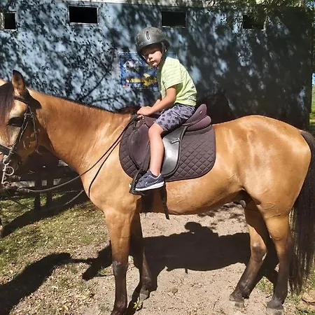 Dom wakacyjny Casinhas Do Minho Arcos de Valdevez