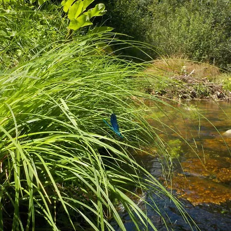 Casinhas Do Minho Dom wakacyjny