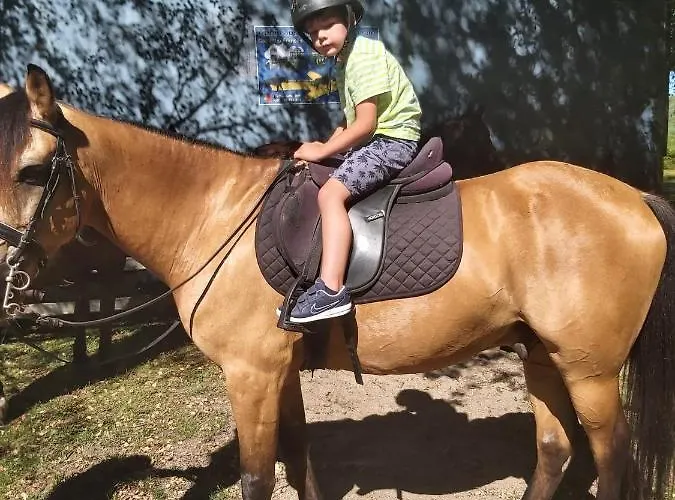 別荘 Casinhas Do Minho アルコス・デ・ヴァルデヴェス