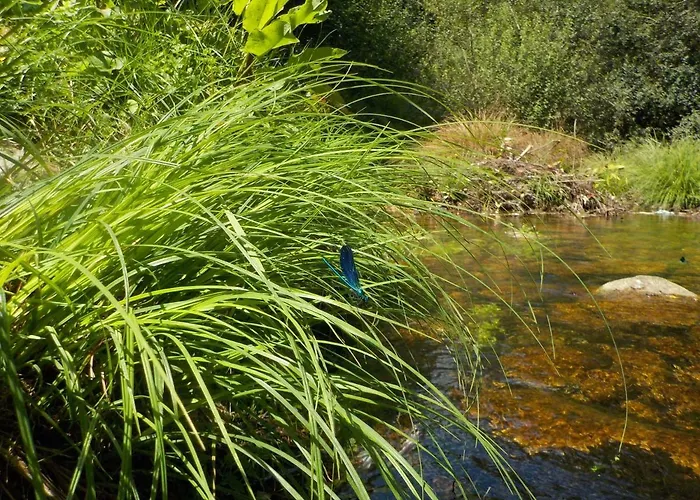 Casinhas Do Minho 別荘